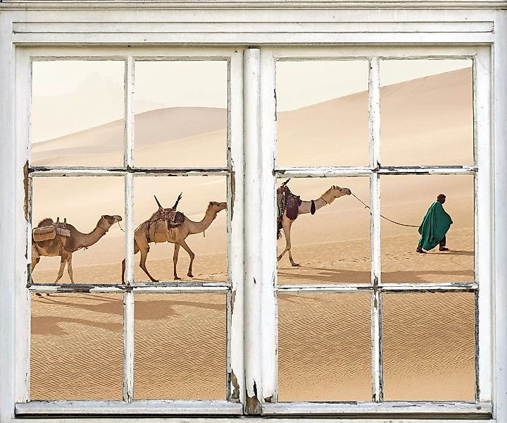 queence Wandsticker "Kamele in Wüste" günstig online kaufen