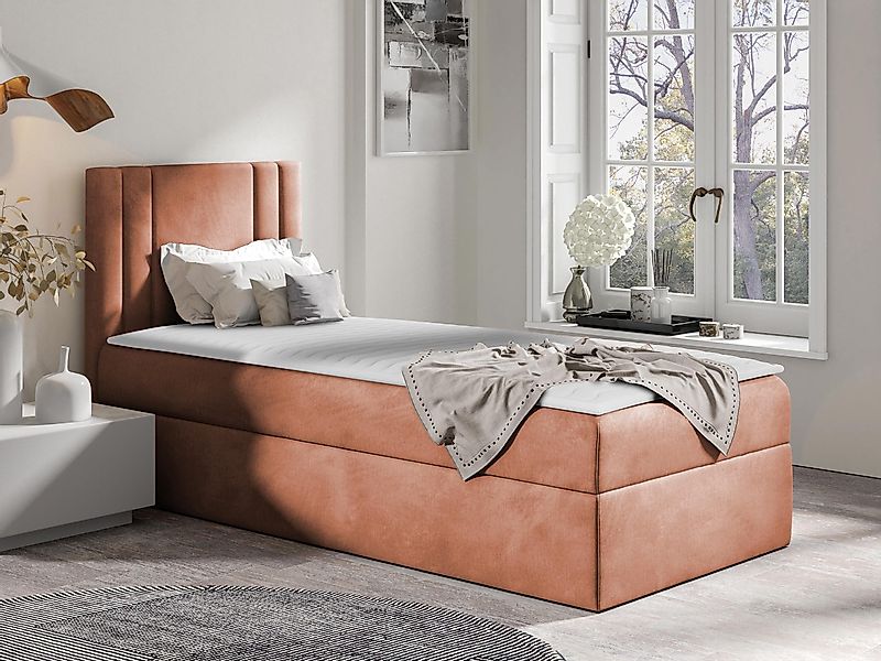 MIRJAN24 Boxspringbett Carmen Mini (mit Hauptmatratze, günstig online kaufen