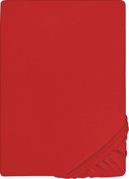 Biberna Spannbettlaken Marc, Jersey, Gummizug: rundum, günstig online kaufen