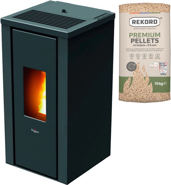PEGASO Pelletofen Vera Stahl Anthrazit 7 kW mit Automatik günstig online kaufen