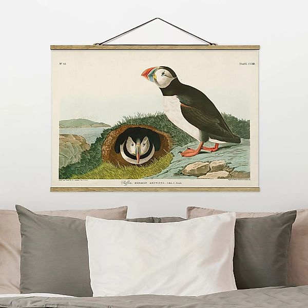 Stoffbild Tiere mit Posterleisten - Querformat Vintage Lehrtafel Papageient günstig online kaufen