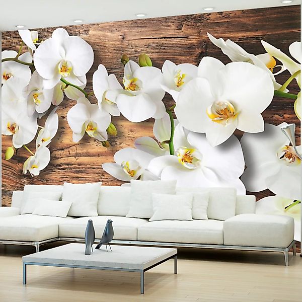 Fototapete - Forest Orchid günstig online kaufen