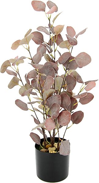 I.GE.A. Kunstpflanze "Eukalyptus", Im Topf, mit Natursteinchen günstig online kaufen