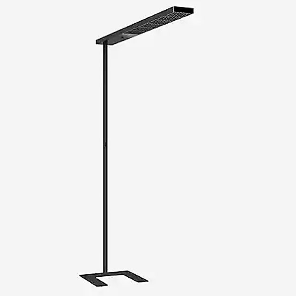 Grau Xt-a Plus Stehleuchte LED, schwarz/schwarz - 125 cm günstig online kaufen