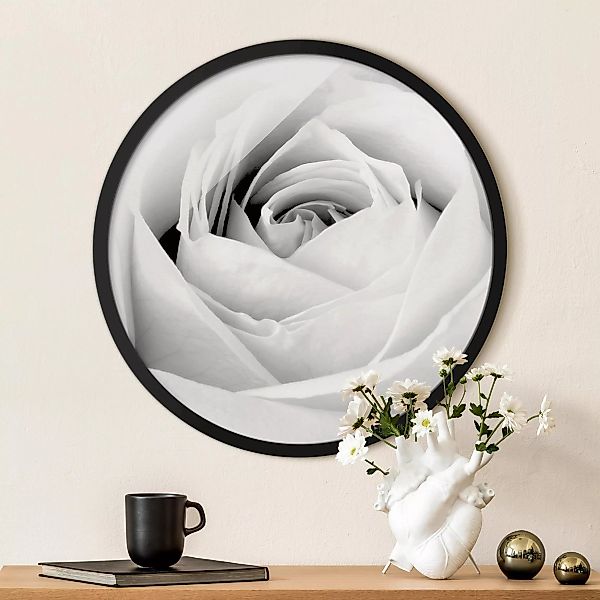 Rundes Gerahmtes Bild Close Up Rose günstig online kaufen