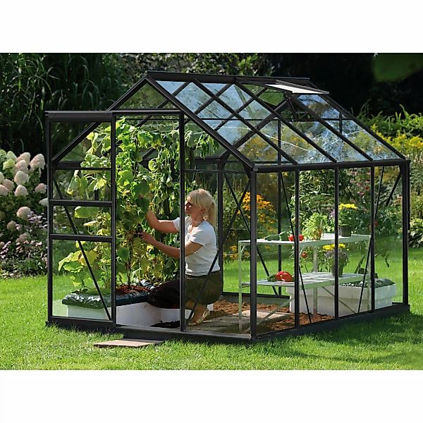Vitavia Gewächshaus Venus 5000 Schwarz 5 m² günstig online kaufen