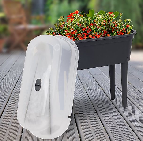 dynamic24 Hochbeet Treibhaus (1 St), + Deckel 77cm Gewächshaus Frühbeet Krä günstig online kaufen