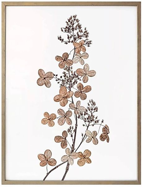 Wall-Art Poster »Hortensie«, Blumen, (1 St.) günstig online kaufen