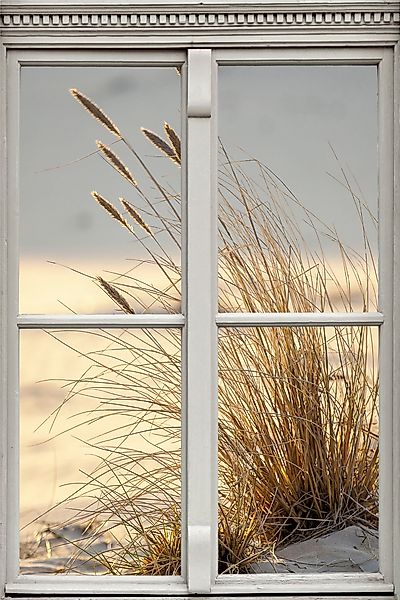 queence Wandsticker Düne, Wandsticker, Wandbild, selbstklebend, günstig online kaufen
