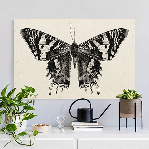 Leinwandbild auf Canvas Natural Illustration fliegender Madagaskar Schmette günstig online kaufen