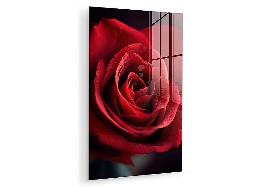 MuchoWow Acrylglasbild Rot - Rose - Romantisch, Inkl. Aufhängung, Dekorativ günstig online kaufen