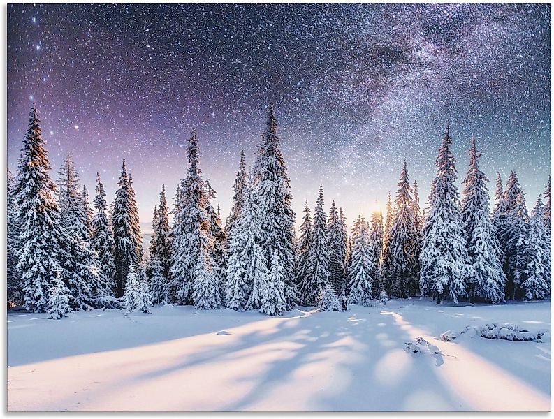 Artland Wandbild "Tannenwald im Schnee vorm Sternenhimmel" Berge & Alpenbil günstig online kaufen