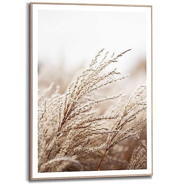 Wandbild FIELD Grass Slim Frame Wood ca. 50x70 cm SMF87289 günstig online kaufen