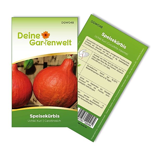 Deine Gartenwelt Hokkaido Kürbis Uchiki Kuri Samen günstig online kaufen