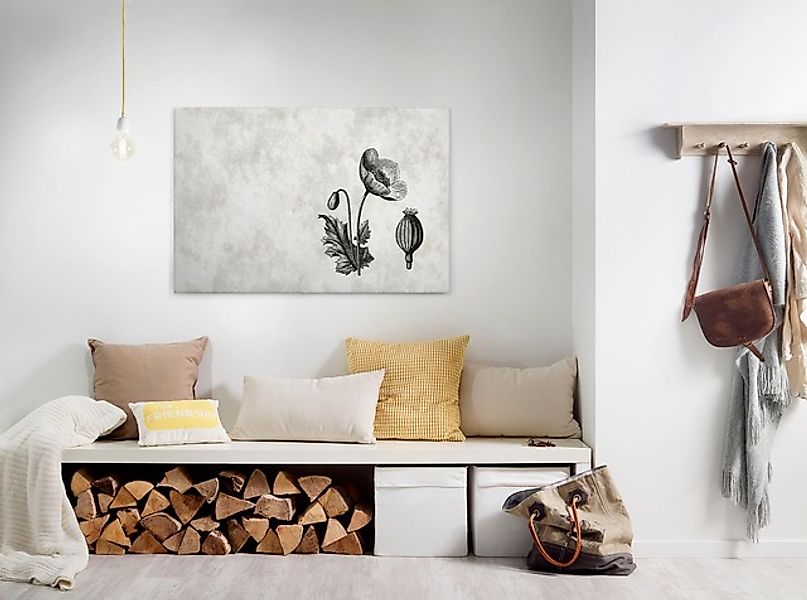 Bricoflor Botanik Leinwand Bild In Betonoptik Wandbild Mit Mohnblume Gezeic günstig online kaufen