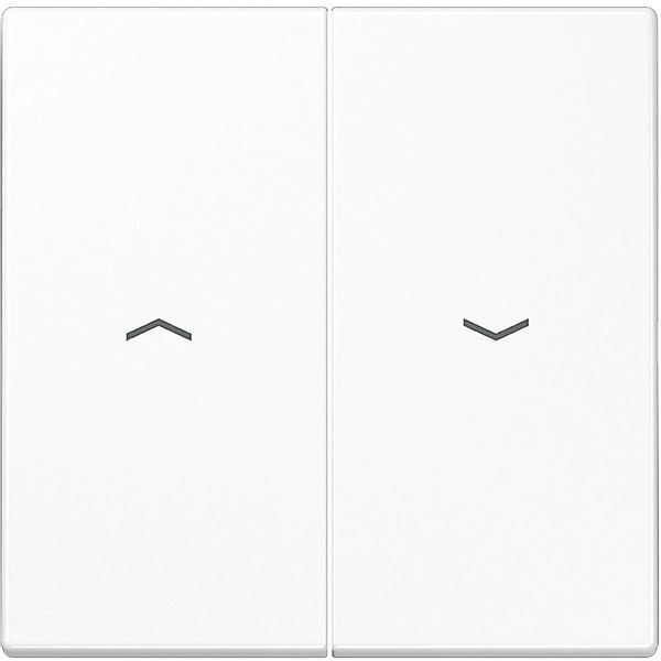 Jung Wippe Symbole aws für Taster LS 995 P WW - LS995PWW günstig online kaufen