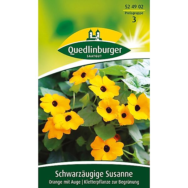 Quedlinburger Schwarzäugige ''Susanne Orange'' günstig online kaufen