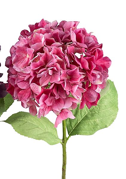 Kunstblume, formano, Höhe 72 cm, Pink, günstig online kaufen