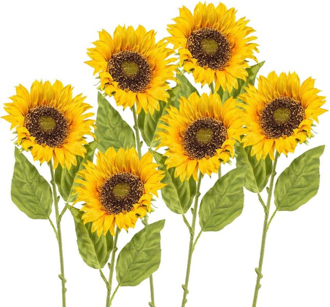 Kunstblume, Creativ green, Höhe 66 cm, günstig online kaufen