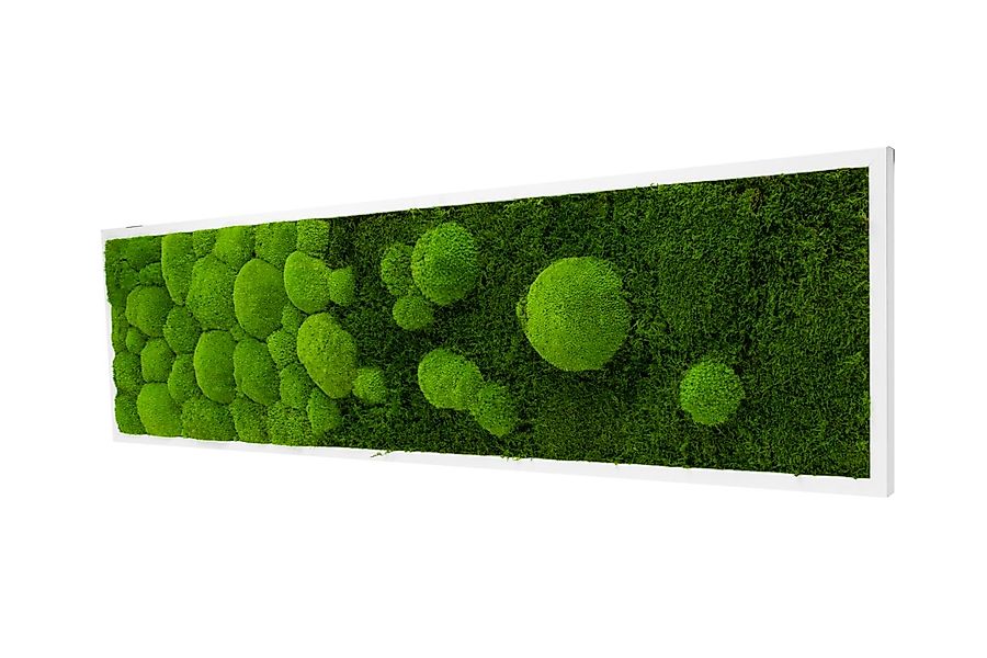 Moos-Design Bilderrahmen Moos Bild River Design günstig online kaufen