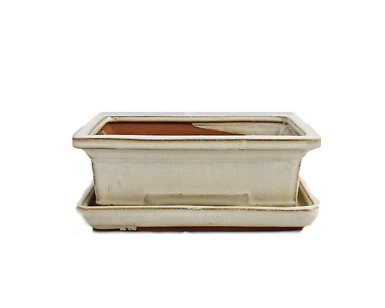 Exotenherz Pflanzschale Bonsai-Schale mit Unterteller Gr. 3 hellbeige eckig günstig online kaufen