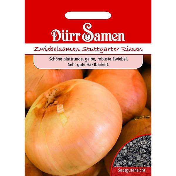 Dürr Samen Sommerzwiebeln Stuttgarter Riesen Saatgut günstig online kaufen