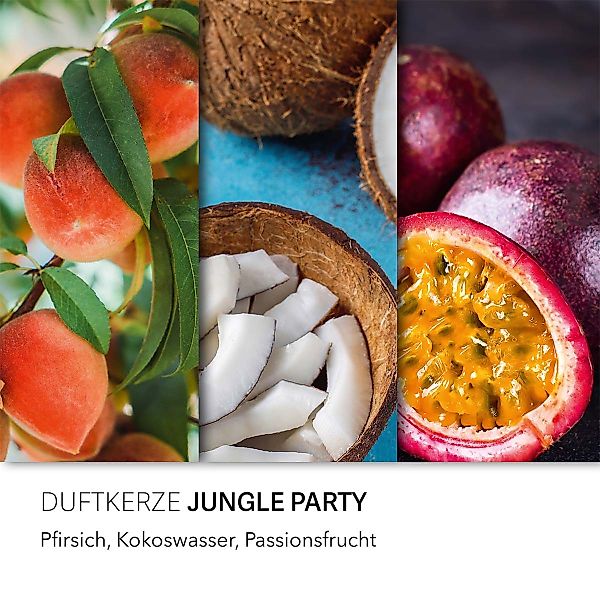 HARIBO Duftkerze Haribo Jungle Party - günstig online kaufen