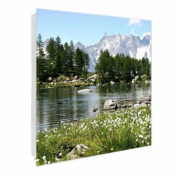 Banjado Großer Schlüsselkasten Glas 30x30cm Weiß Scharnier Links 50 Haken B günstig online kaufen