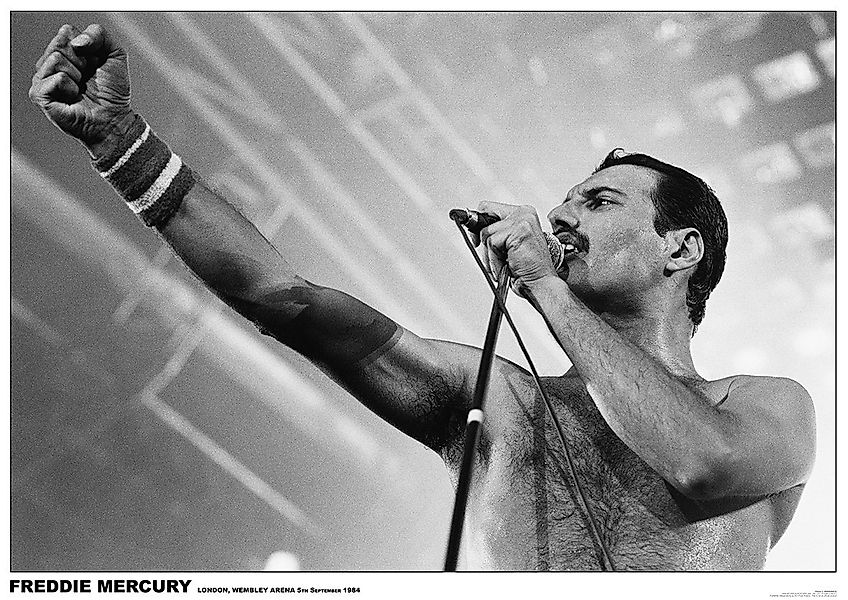 Close Up Poster Queen Poster Freddie Mercury 84 x 59,5 cm günstig online kaufen