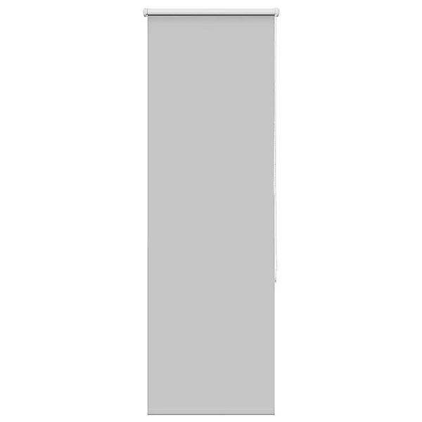 vidaXL Verdunkelungsrollo Hellgrau 60x130 cm Stoffbreite 55,7 cm 4011354 günstig online kaufen