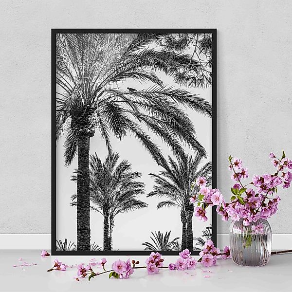 Bild mit Rahmen Natur & Landschaft - Hochformat Palmen im Sonnenuntergang S günstig online kaufen