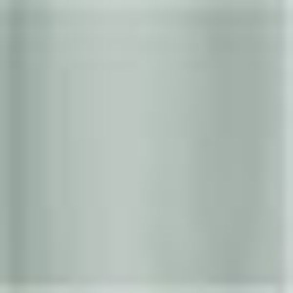 SCHÖNER WOHNEN-Kollektion Vorhang SOFT Blickdichter Schlaufenvorhang günstig online kaufen