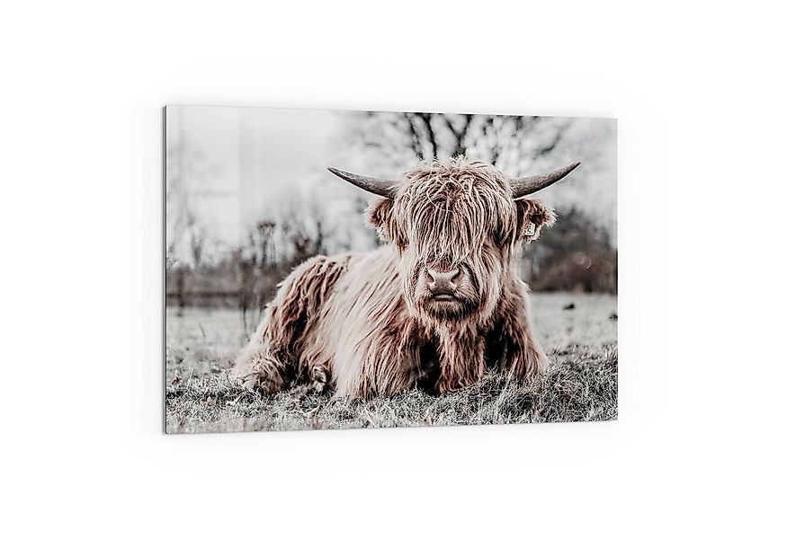 DEQORI Küchenrückwand 'Ruhendes Hochland', Glas Spritzschutz Badrückwand He günstig online kaufen