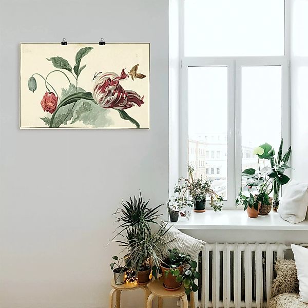 Artland Wandbild "Tulpe und Mohn.", Blumenbilder, (1 St.), als Alubild, Out günstig online kaufen