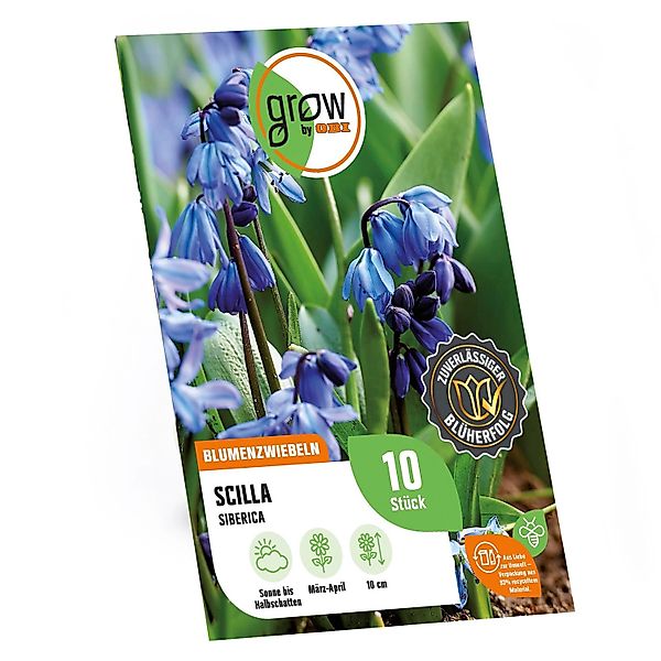 GROW by OBI Scilla siberica Blau 10 Stück günstig online kaufen