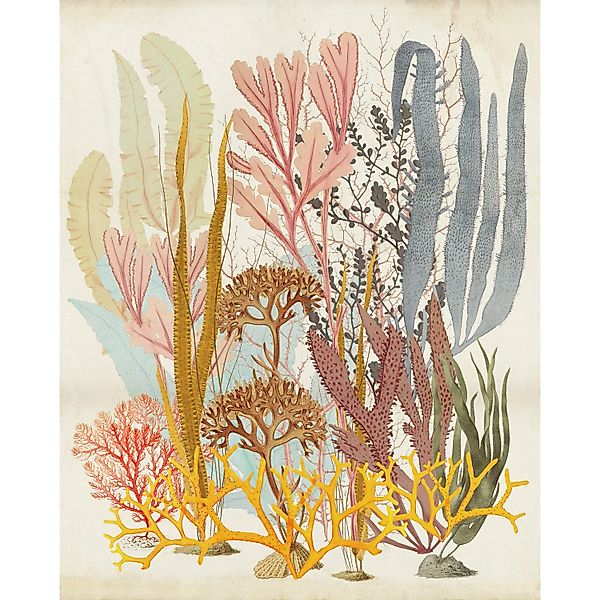Komar Vliestapete »Digitaldruck Vlies - Catchy Corals - Größe 200 x 250 cm« günstig online kaufen