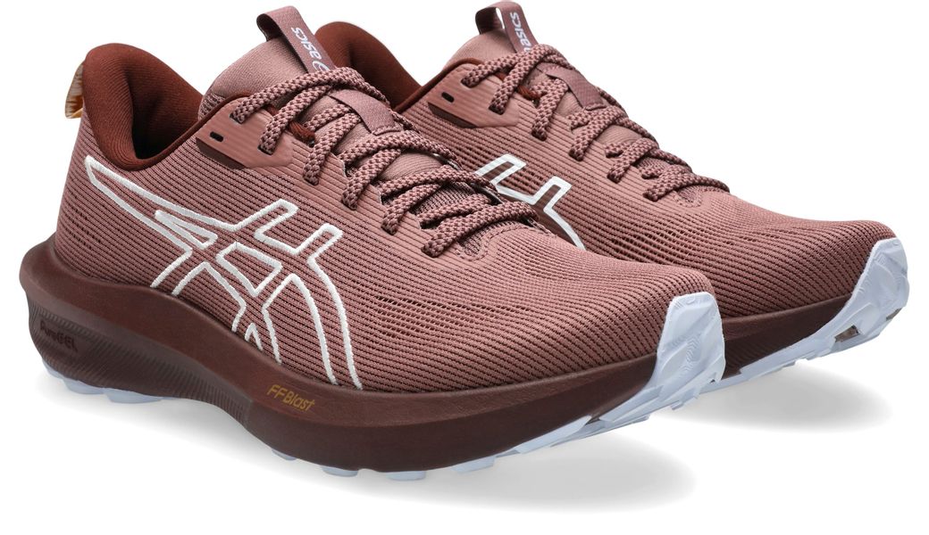 Asics GT-1000 14 TR Laufschuh für günstig online kaufen