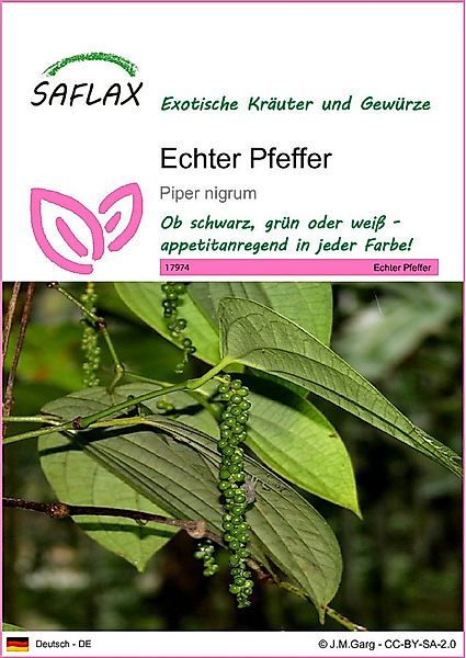 SAFLAX Kräutersamen SAFLAX - Samen - Echter Pfeffer günstig online kaufen