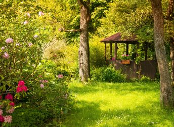 Papermoon Fototapete Magic Garden, glatt günstig online kaufen