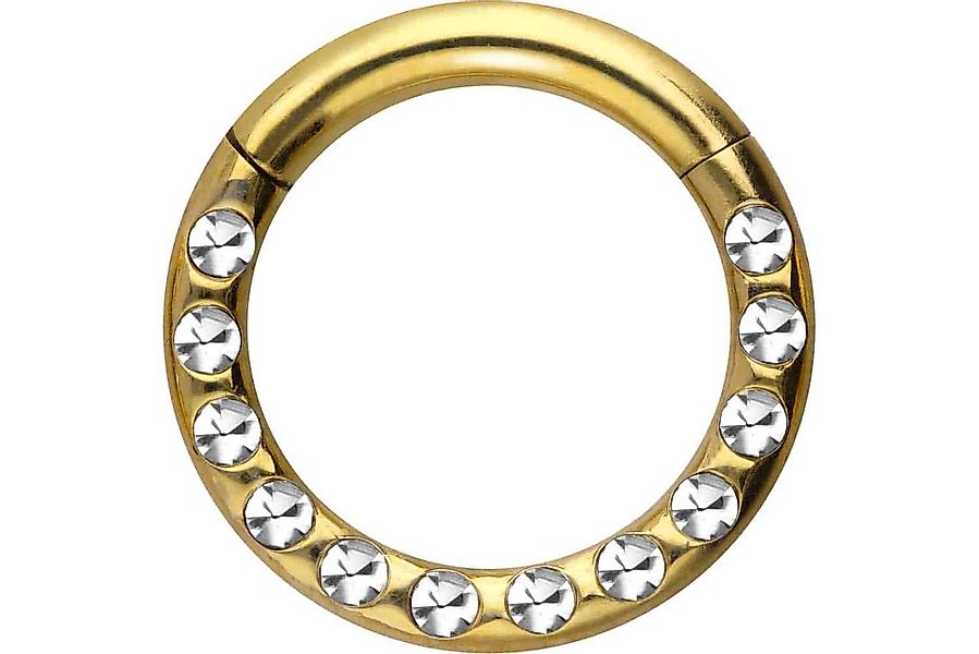 PIERCINGLINE Nasenpiercing Chirurgenstahl Segmentring Clicker KRISTALLE günstig online kaufen