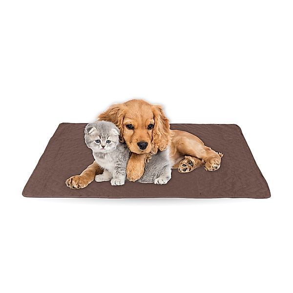 Bestlivings Tierdecke gesteppte Haustierdecke S-XL, Polyester, günstig online kaufen