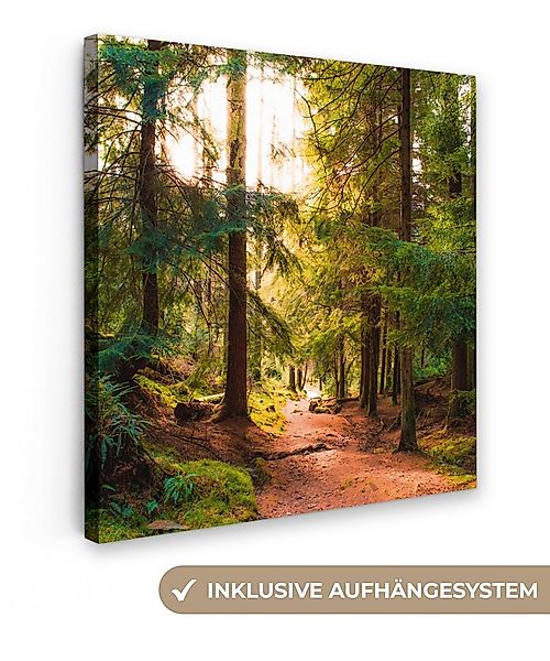 OneMillionCanvasses® Leinwandbild Wald - Weg - Bäume - Grün - Sonne - Natur günstig online kaufen