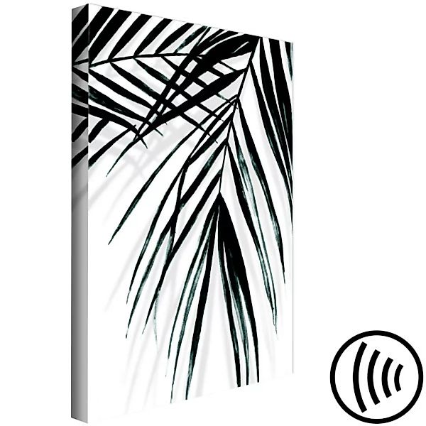 Bild auf Leinwand Entspannung unter der Palme – tropische Pflanzenblätter i günstig online kaufen