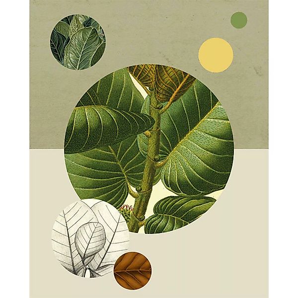 Komar Wandbild Green Structure Pflanzen B/L: ca. 40x50 cm günstig online kaufen