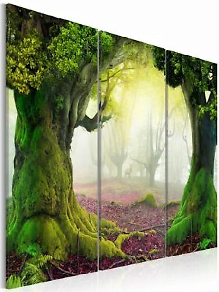 artgeist Wandbild Mysterious forest - triptych mehrfarbig Gr. 60 x 40 günstig online kaufen