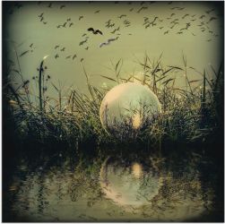 Artland Wandbild »In der Glaskugel - Mystische Au« Landschaften 1 Stk. tlg. günstig online kaufen