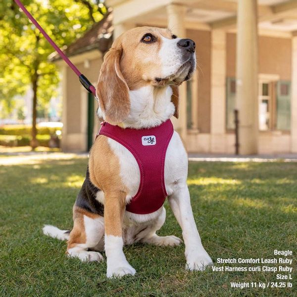 Curli Hunde-Geschirr Clasp AirMesh, Polyester günstig online kaufen