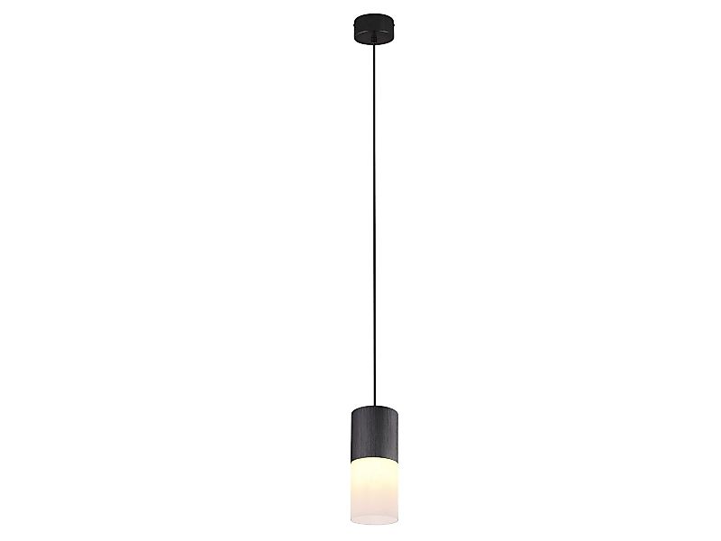 TRIO Leuchten LED Pendelleuchte, Dimmfunktion, LED günstig online kaufen