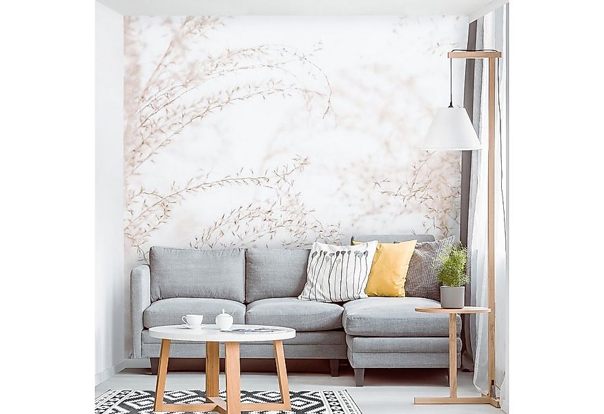 Bilderdepot24 Fototapete Blumen Sonnenstrahlen Pampasgras Blumentapete Flor günstig online kaufen