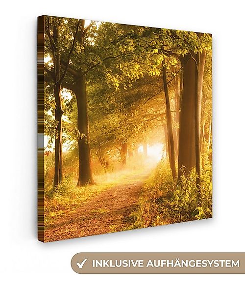 OneMillionCanvasses® Leinwandbild Wald - Bäume - Sonnenlicht - Herbst - Weg günstig online kaufen